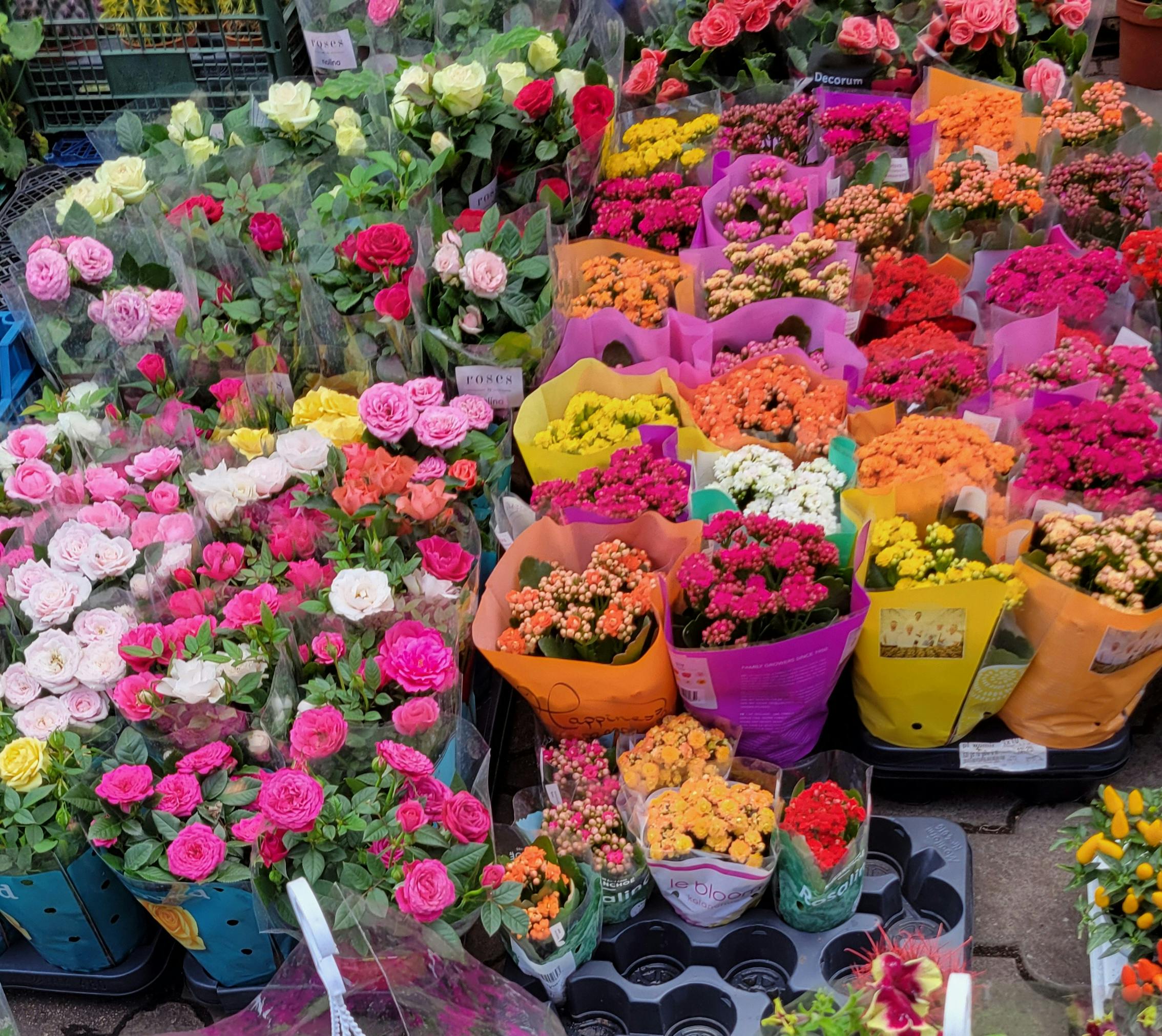 Ecker's Flowers & Greenhouses