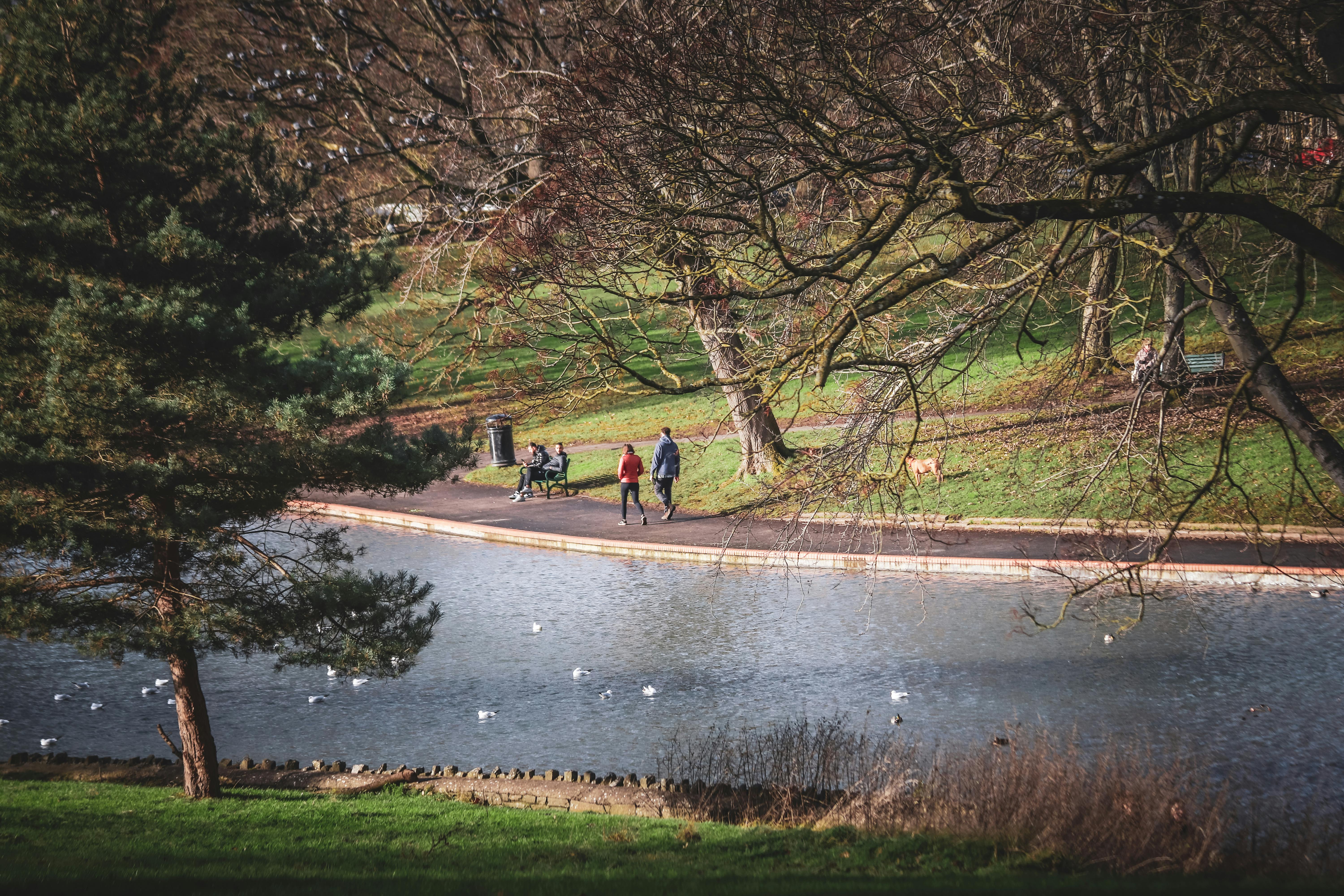Meyers Lake/Angels Park